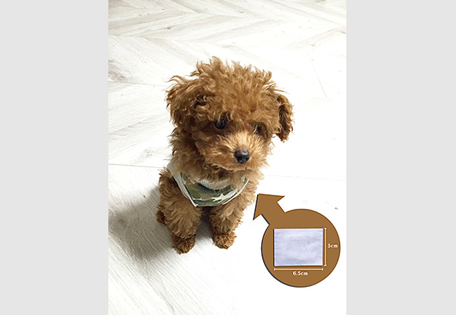 除虫の匠導入事例3